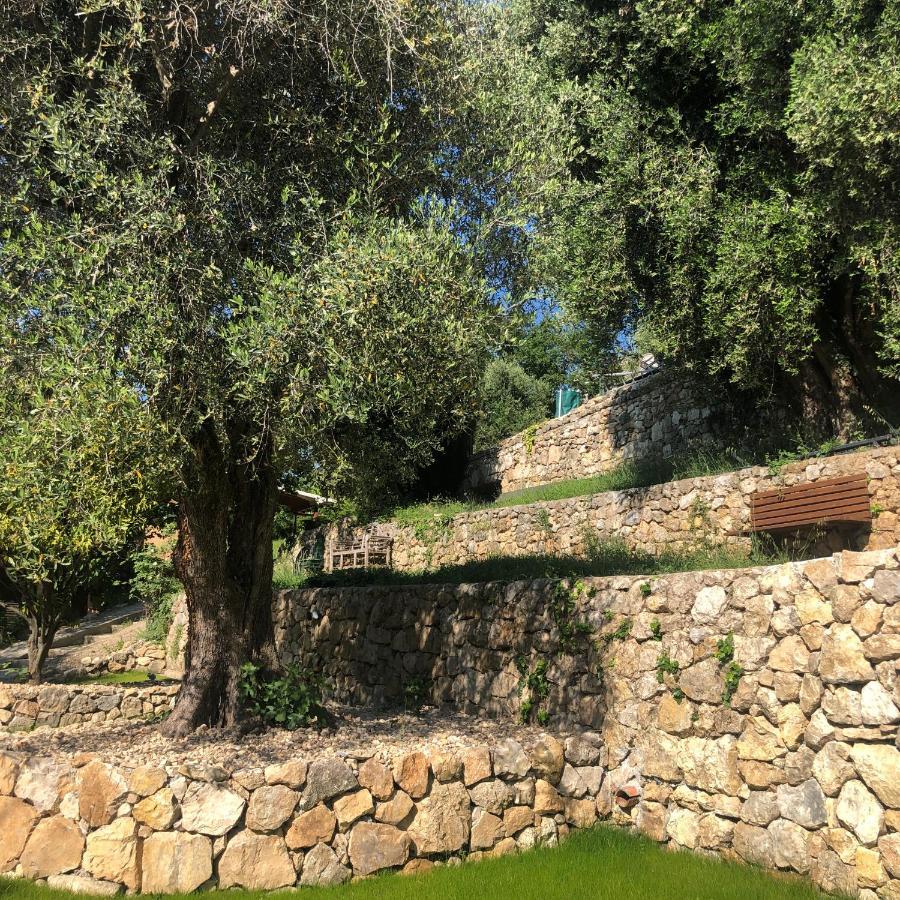 "Aux Balcons Du Riou" Avec Vue Mer 180 Degres Vence Exterior photo